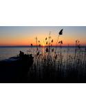 Albufera de Valencia: Pescadores al Ocaso (50x34cm)