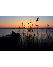 fotografía de Atardecer en la albufera