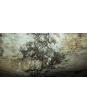 Fotografía Techo Cueva del Lago Ayora 50x100 cm