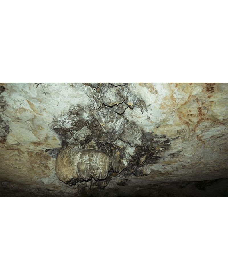 Fotografía Techo Cueva del Lago Ayora 50x100 cm