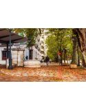 Fotografía Artística Paseo de Otoño en Xàtiva - Lámina Decorativa 24x38 cm