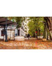 Fotografía Artística Paseo de Otoño en Xàtiva - Lámina Decorativa 24x38 cm