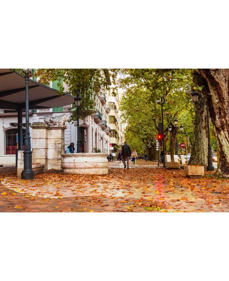 Fotografía Artística Paseo de Otoño en Xàtiva - Lámina Decorativa 24x38 cm