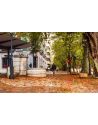 Fotografía Artística Paseo de Otoño en Xàtiva - Lámina Decorativa 24x38 cm