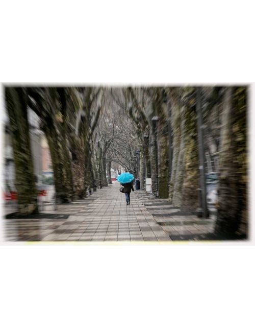 Fotografía de persona con paraguas azul en la Alameda de Xàtiva para enmarcar cuadros