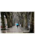 Fotografía Artística Paseo de la Alameda de Xàtiva - Lámina Decorativa 60x38 cm
