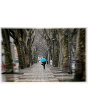 Fotografía de persona con paraguas azul en la Alameda de Xàtiva para enmarcar cuadros