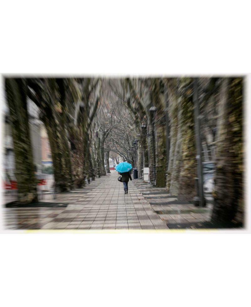 Fotografía de persona con paraguas azul en la Alameda de Xàtiva para enmarcar cuadros
