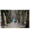 Fotografía Artística Paseo de la Alameda de Xàtiva - Lámina Decorativa 60x38 cm