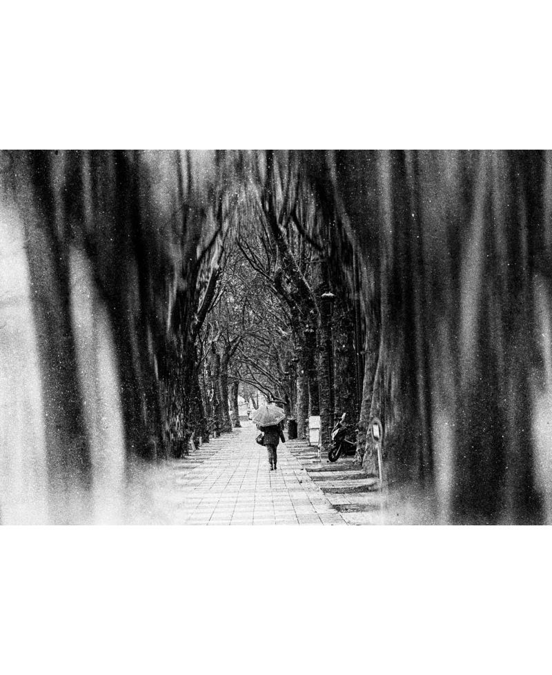 Fotografía B&N Alameda de Xàtiva con Lluvia - Lámina Artística 56x38 cm