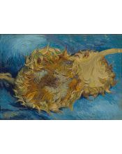 Lámina Artística de Alta Calidad Dos Girasoles Cortados (Vincent van Gogh)