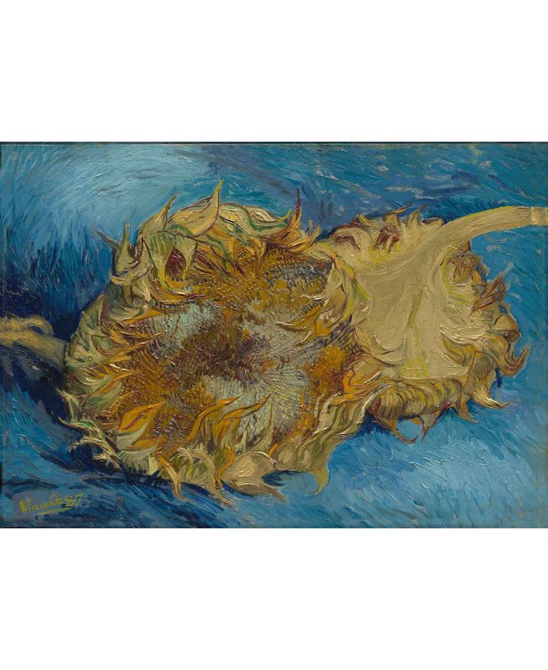 Lámina Artística de Alta Calidad Dos Girasoles Cortados (Vincent van Gogh)