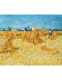 Lámina Artística Las Gavillas de Trigo (Vincent van Gogh)