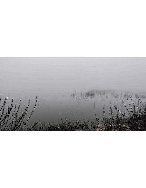 Niebla en el pantano