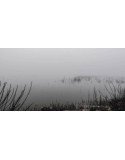 Niebla en el pantano