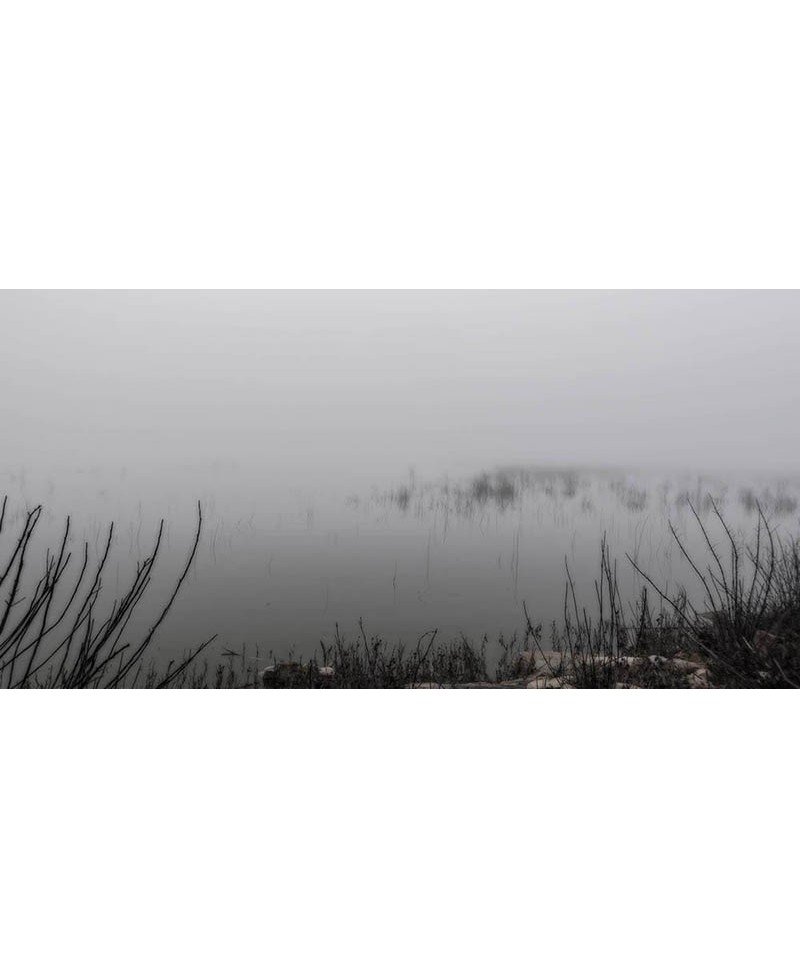 Niebla en el pantano