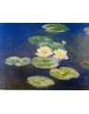 Lamina ninfee de Monet