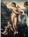 Lamina Leda de Leonardo