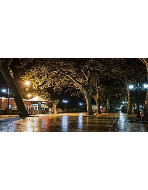 Fotografía de la alameda de Xàtiva