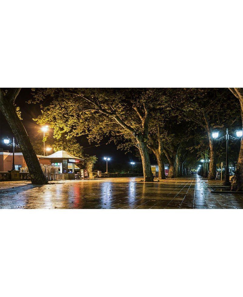 Fotografía de la alameda de Xàtiva