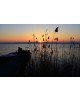 Atardecer en la albufera