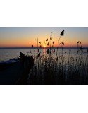 Atardecer en la albufera