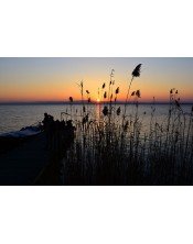 Atardecer en la albufera