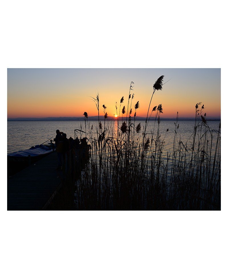 Atardecer en la albufera