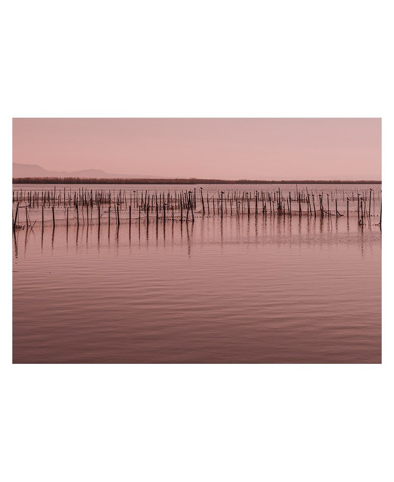 pesca en la albufera-2
