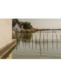 Albufera de Valencia