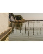 Albufera de Valencia