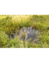 canón de río Lobos