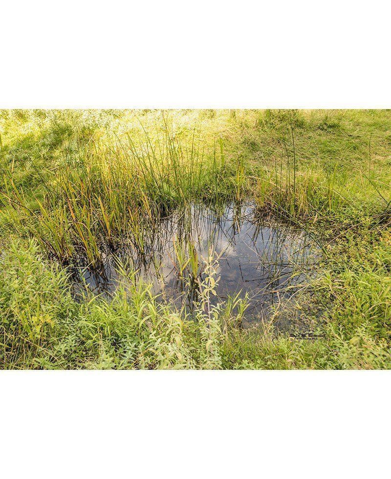 canón de río Lobos