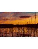 ocaso en el pantano