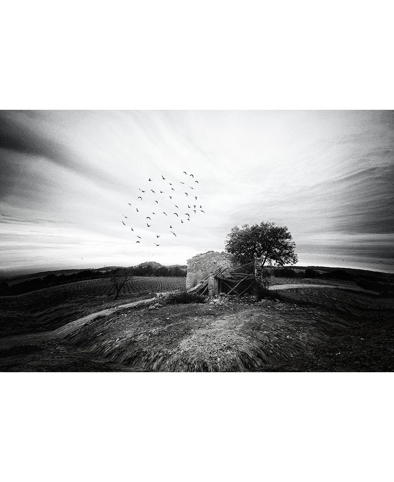 Una casa en las afueras