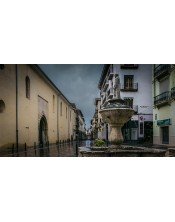 Fuente de San Fracisco