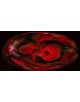 Cuadro rosas rojas redondeadas