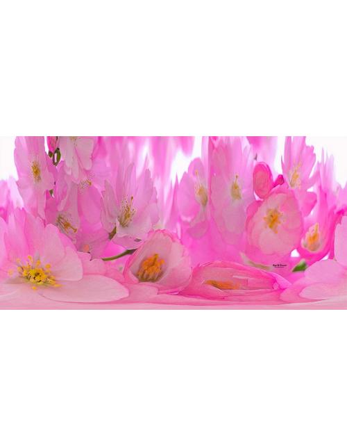 Flores rosas