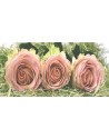 3 rosas