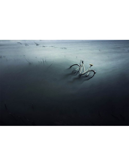 Bicicleta en el pantano